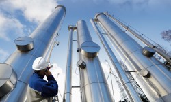 Suspendisse arcu nisl